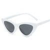 Load image into Gallery viewer, Leo Ban Sunglasses - Kaizens Glasses