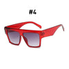 Cargar imagen en el visor de la galería, VIVI Sunglasses - Kaizens Glasses