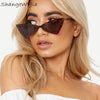 Load image into Gallery viewer, Celebrity Sunglasses - Kaizens Glasses