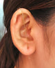 Load image into Gallery viewer, Nicki Earrings